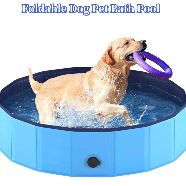 Baño Plegable para Perros y Mascotas 🌊 - Diversión Sostenible