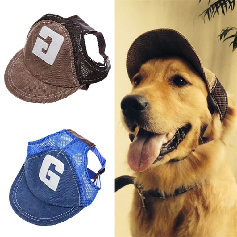 Sombrero Solar para Perros: Protección y Estilo 🌞🐶