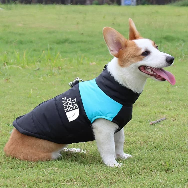 Abrigo impermeable y cálido para perros, chaleco de invierno