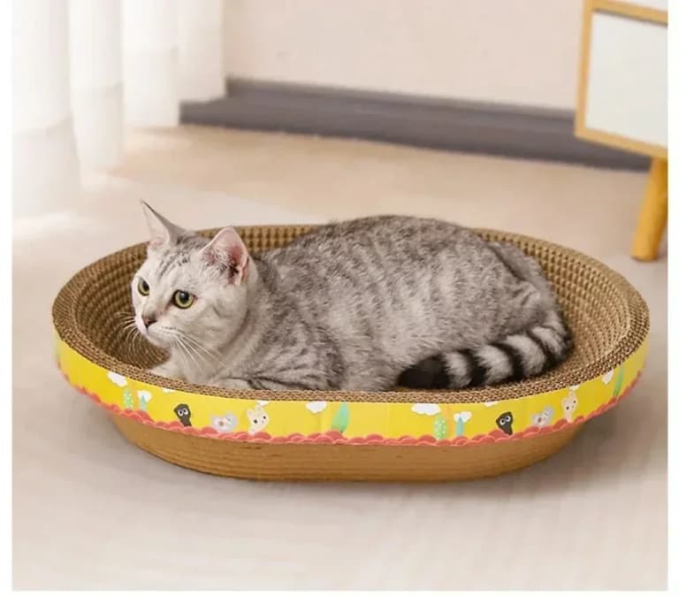 Rascador Ovalado Ecológico para Gatos 🐾✨