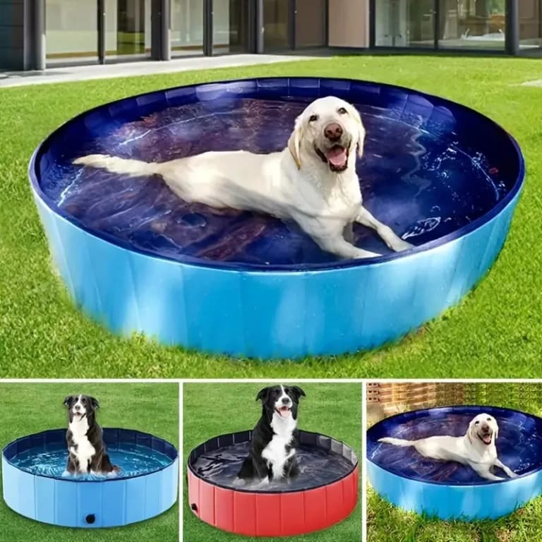 Bañera Plegable para Mascotas: Piscina Ecoamigable y Portátil 🌊