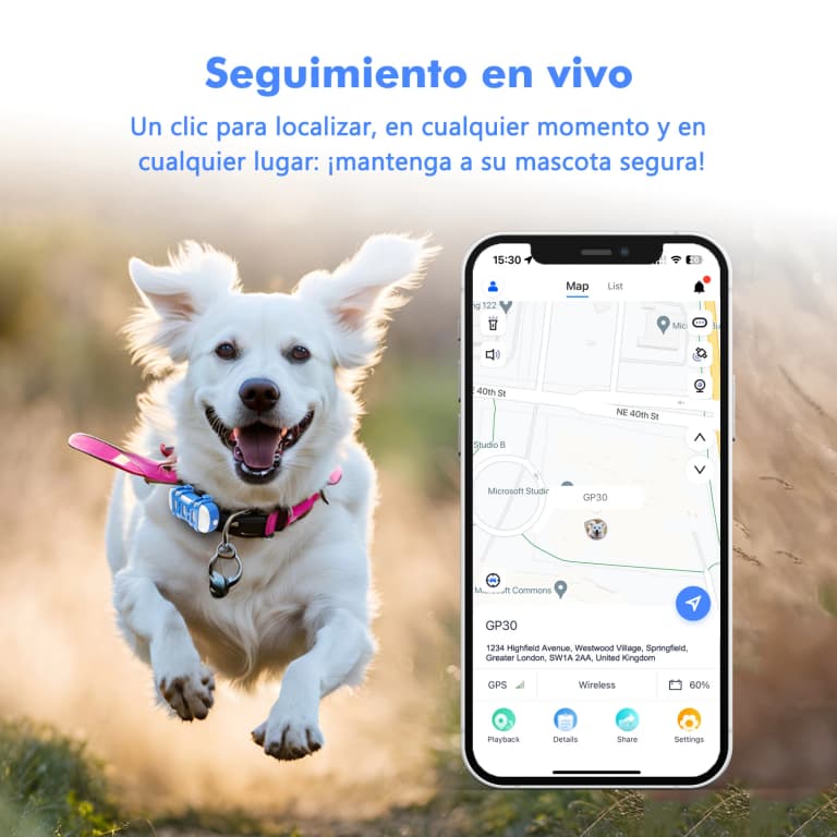 Rastreador GPS 4G para Mascotas: Seguridad y Tranquilidad 🐶🌍