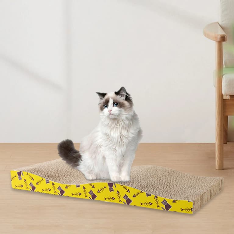 Cama Rascadora de Cartón: ¡El Rincón Ideal para tu Gato! 🐾