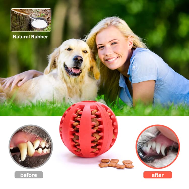 🌿 Bola de Juego Interactiva y Ecológica para Perros - Limpieza Dental con Diversión Garantizada 🐶