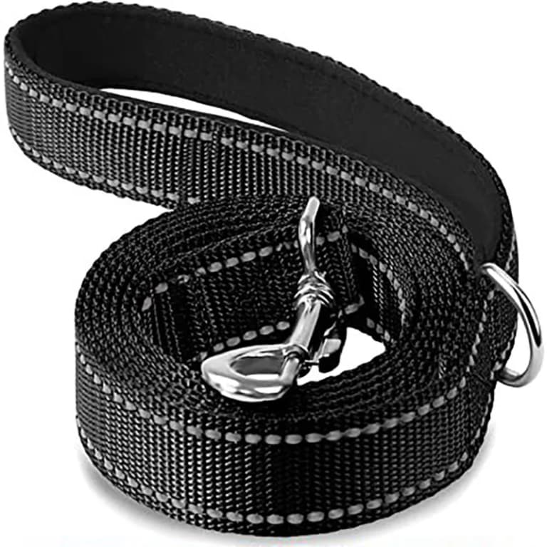 Arnés y Collar para Perros y Gatos con Correa Segura 🌿