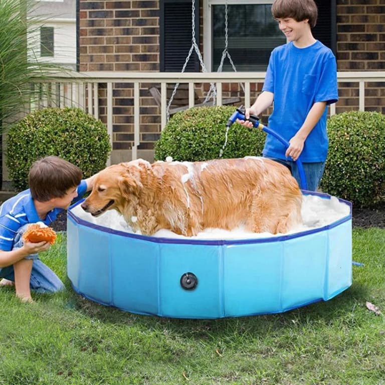 Bañera Plegable para Mascotas y Niños - ¡Diversión Acuática! 🌊