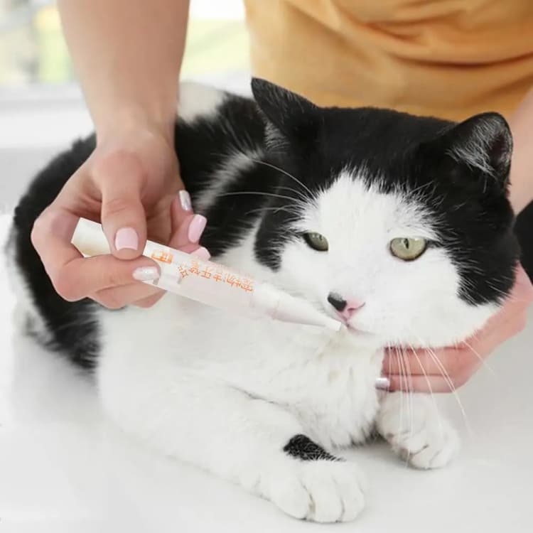 Cepillo de dientes de cerdas suaves para mascotas, pluma de limpieza de dientes para perros y gatos