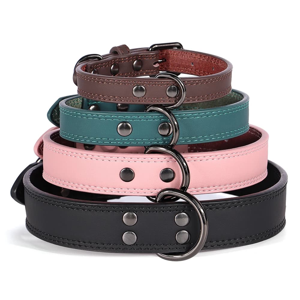 Collar de cuero genuino suave para perros 🐾