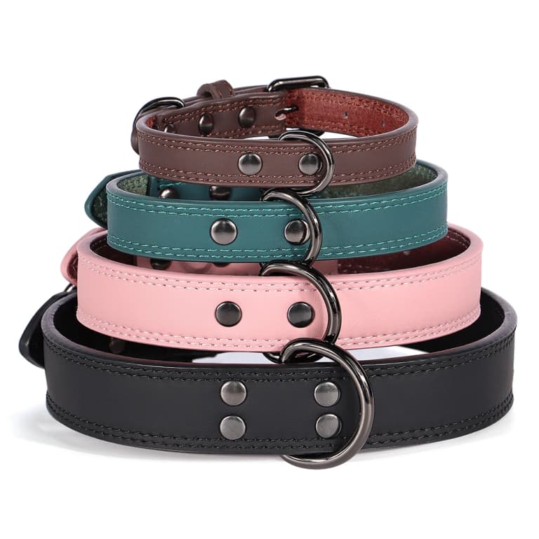 Collar de cuero genuino suave para perros 🐾