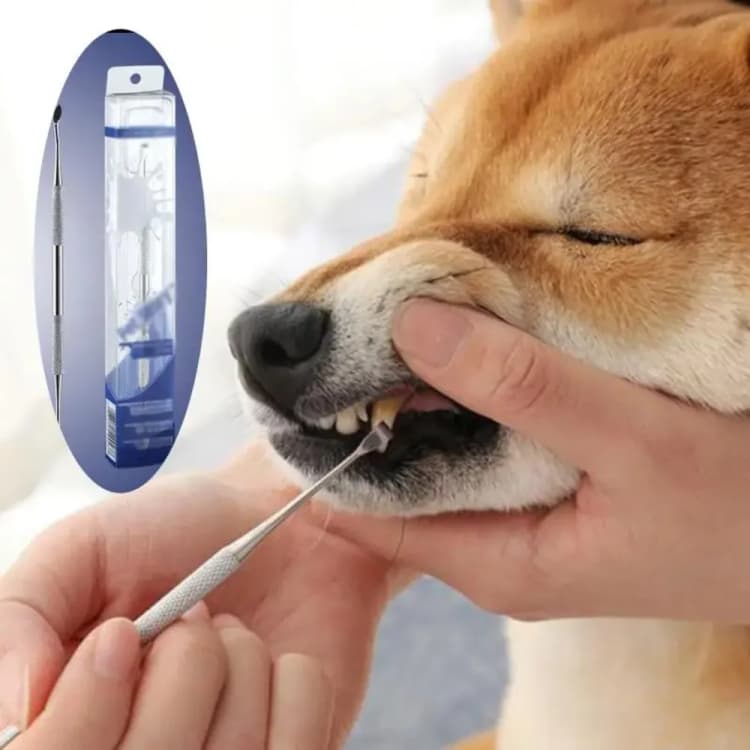 Raspador de Sarro de Acero Inoxidable para Perros y Gatos - Limpieza Dental