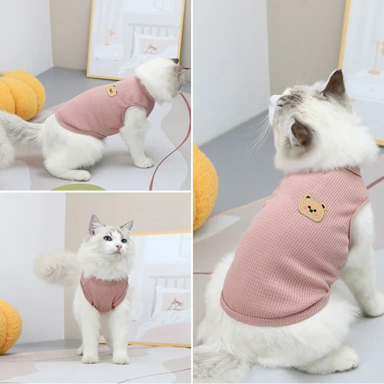 Chaleco de Oso: Ropa Eco para Perros y Gatos 🐾🌱
