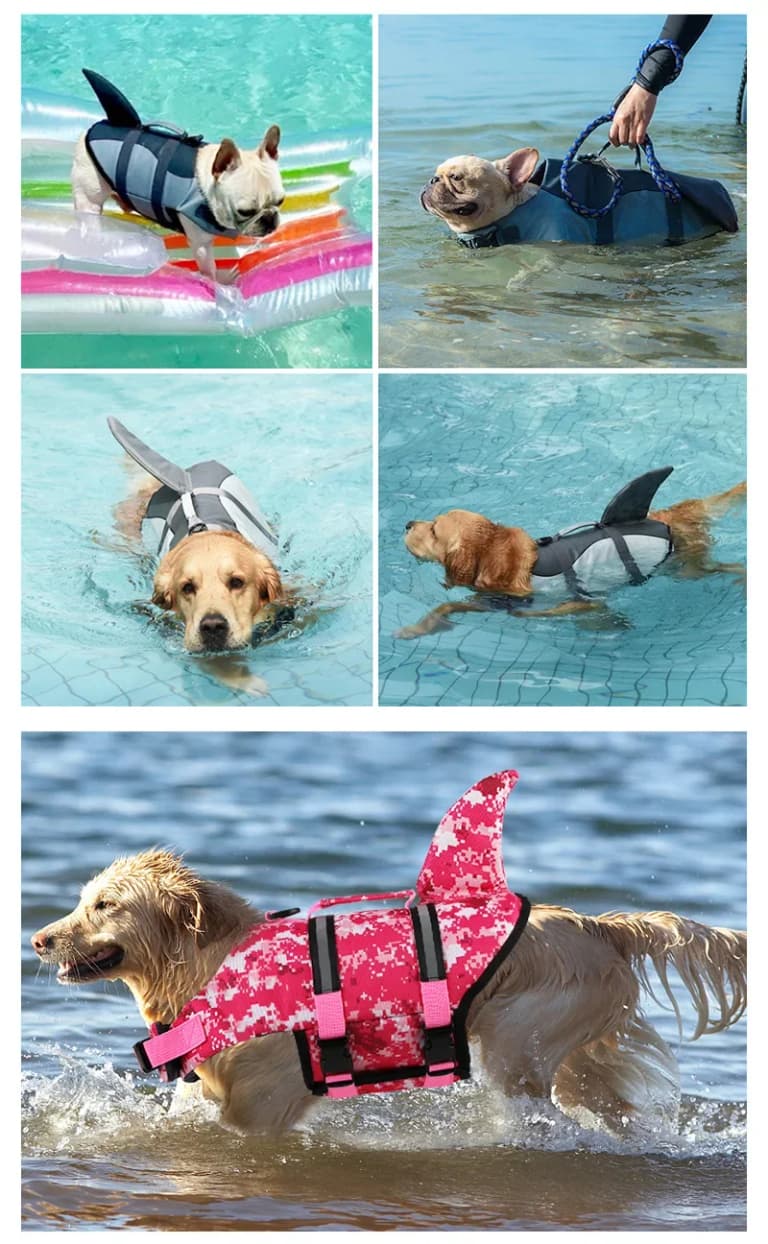 Chaleco Salvavidas para Mascotas: Seguridad y Estilo Veraniego 🐾🌊