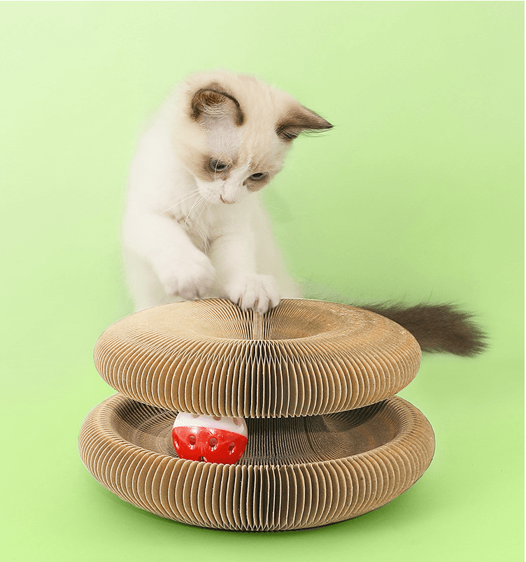 Divertido Tablero Rascador Plegable para Gatos 🍃