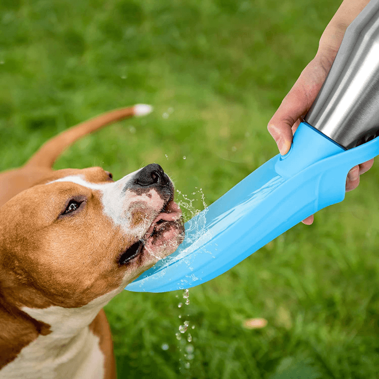 Botella de agua portátil de acero inoxidable para perros 🐶💧